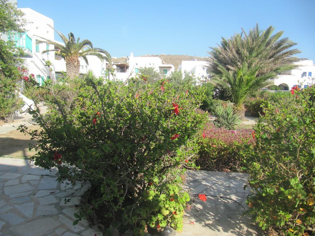 Diles Complex Apartment Ornos  Exterior foto